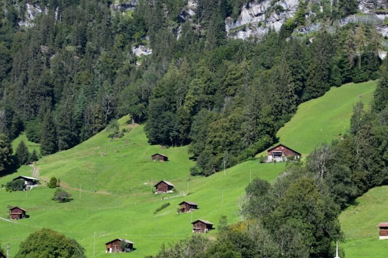Albinen